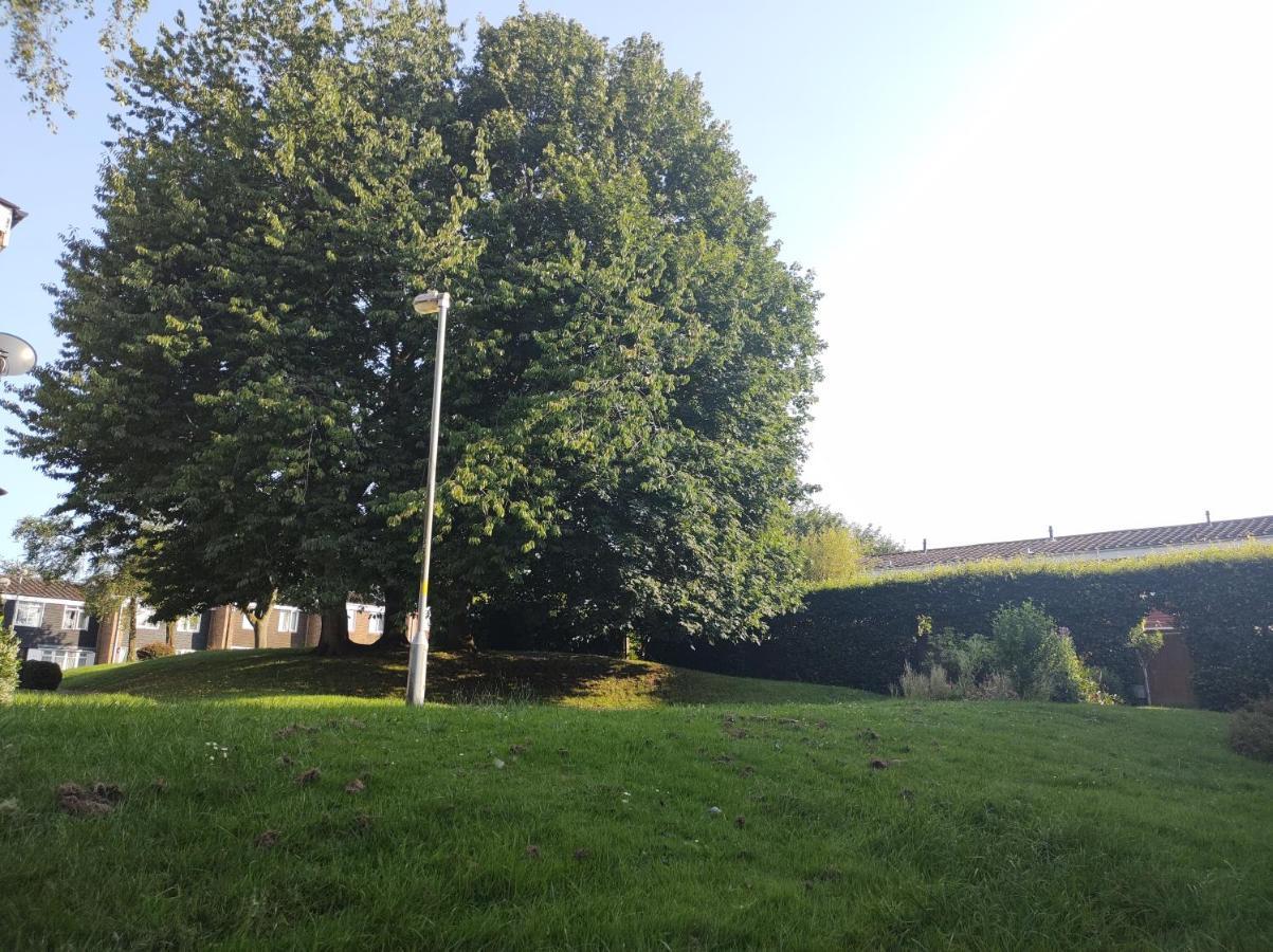 Homestay Near A Station And Park Birmingham Eksteriør bilde